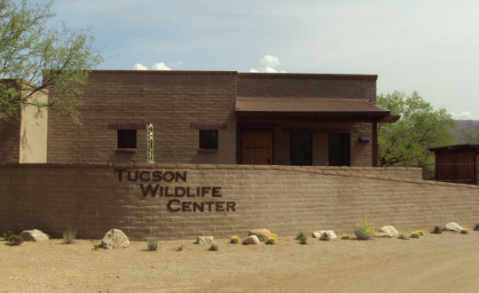 Tucson Wildlife Center