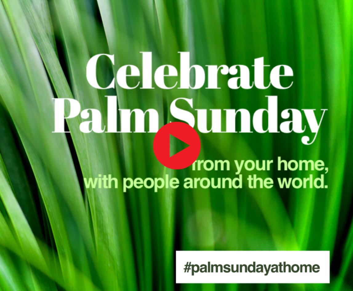 You Tube link to video message from Pastor Nathan about Palm Sunday