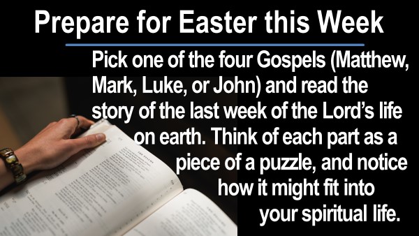 This week's spiritual growth task