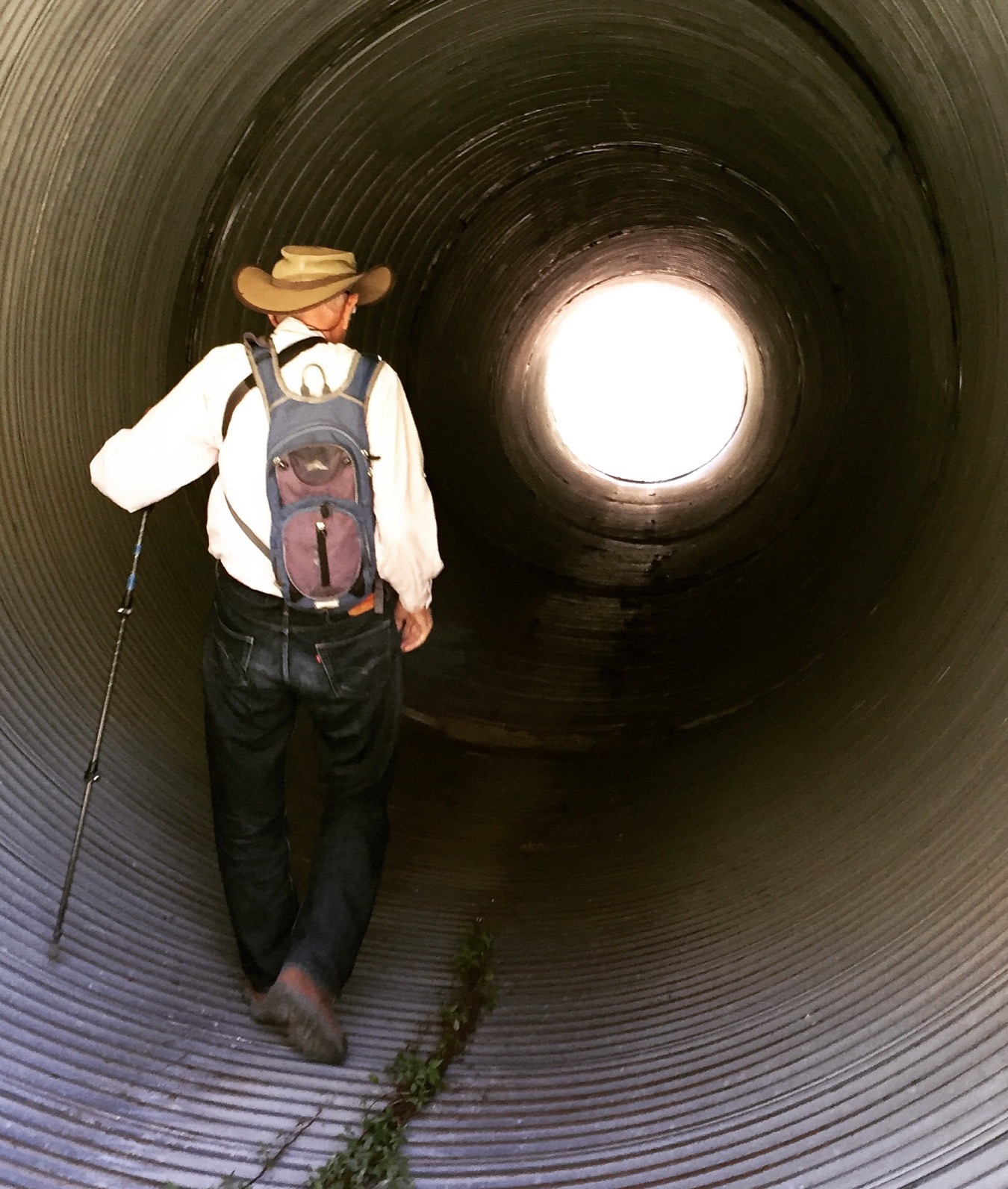 Frank Rose walking toward the light Photo by Owen Rose