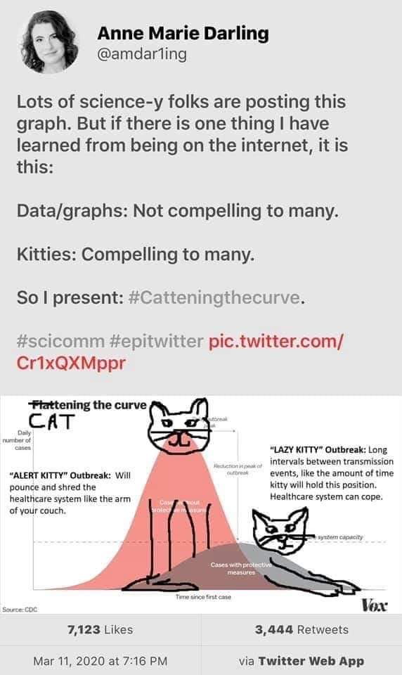 Image: "Cattening the curve"