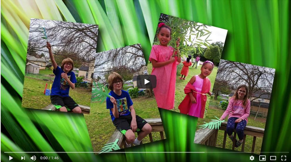 Palm Sunday around the world