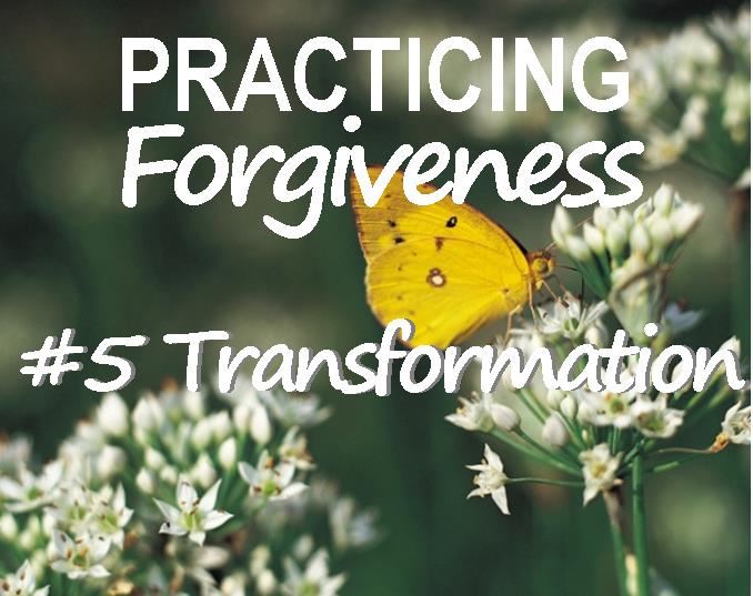 transformation-butterfly