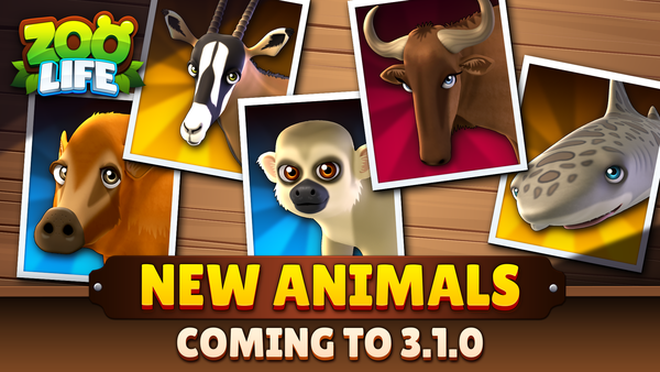 Zoo Life