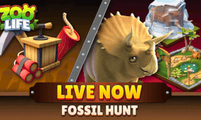 Fossil Hunt