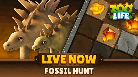 Fossil Hunt