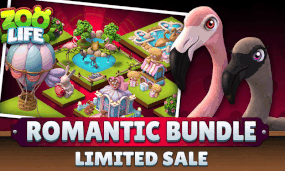 Romantic Bundle