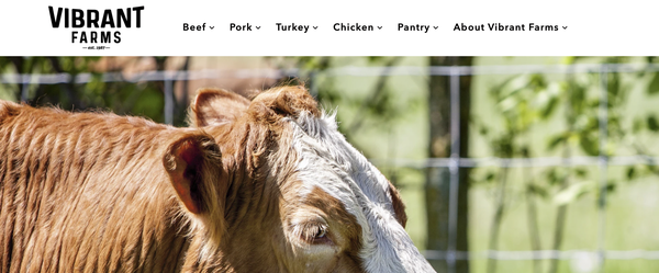 vibrant farms website 