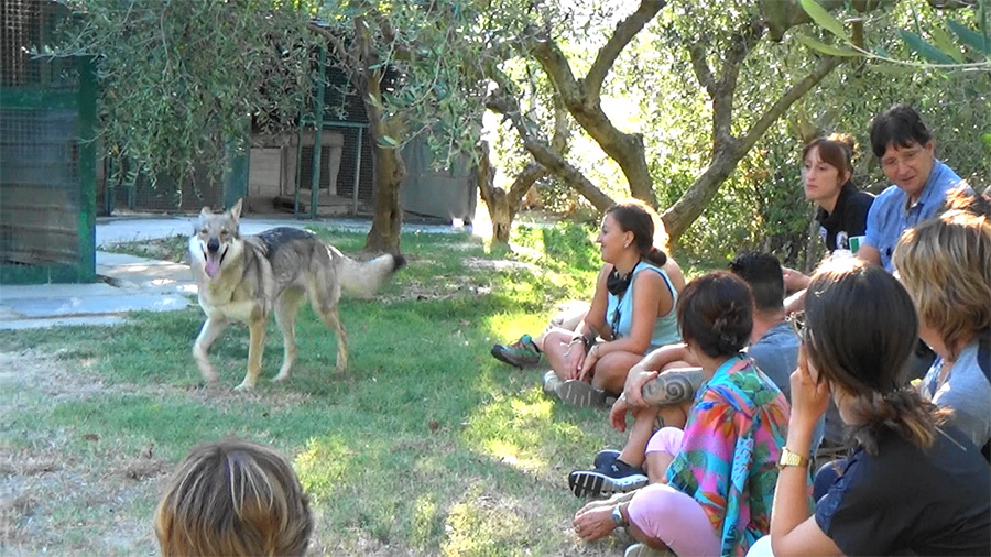 Upload an image for week 2