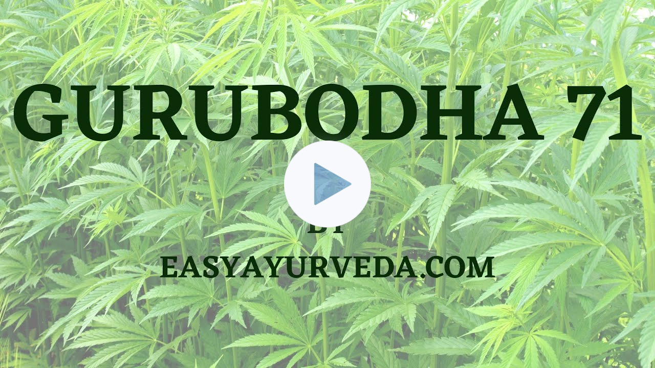 GURUBODHA 71: Introduction To Medical Marijuana- Its Types, Purification and Benefits