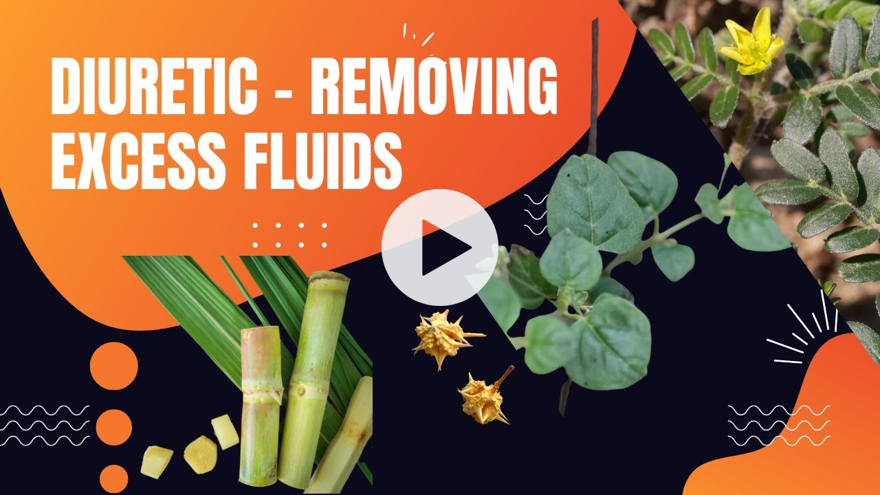 Facepack, Mouth Wash, Lotion with Curd Diuretic Herbs Ama Kapha