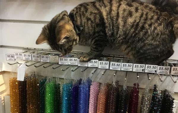 Glass Crystal Bead Sale