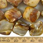 Shell Beads