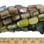 Shell Beads