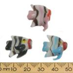 Angel Fish Mixed Packs