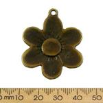 Bronze Daisy