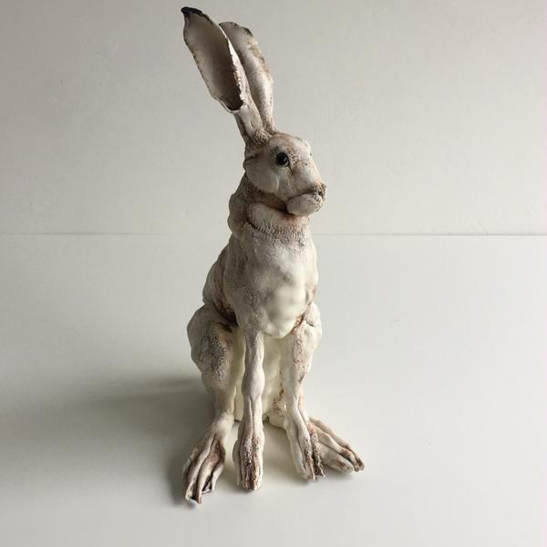 Hare, gallerytop