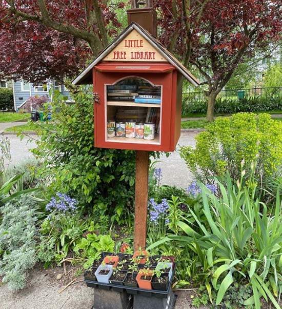 Little free library repurposed