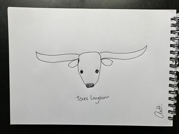 Longhorn by Ann