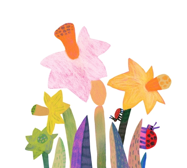 Image of daffodils and ladybugs