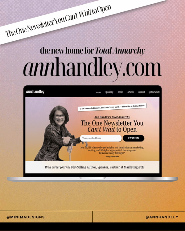 Ann's new website design