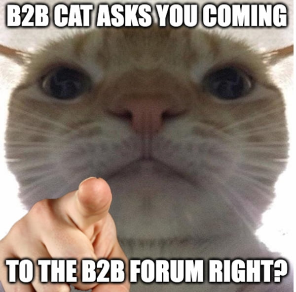 Cat meme for b2b forum