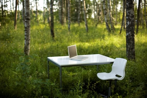 Work table in forest