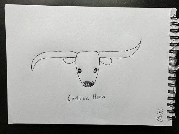 Curlicue by Ann