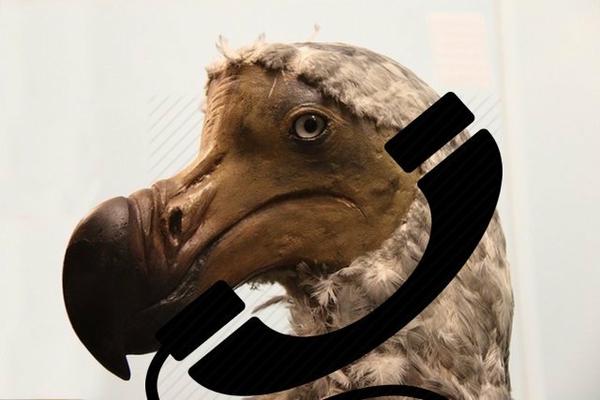 [Remember to allow image]