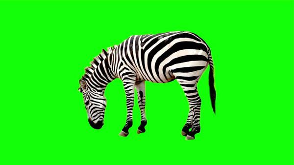 [Please allow images]