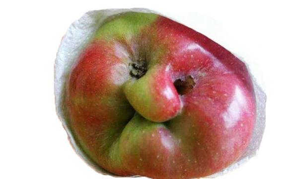 [Funny pic - please allow]