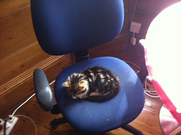 [Images are safe to open]