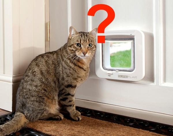 [Remember to allow images]