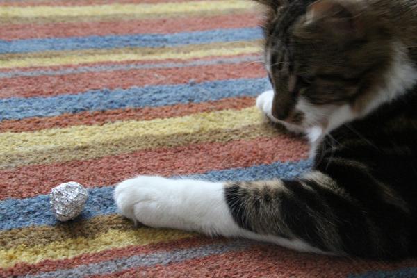 [Safe image - links to a video for you]