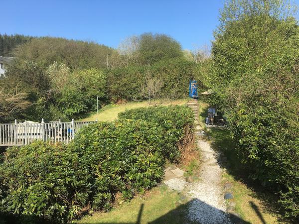 [Remember to allow image]