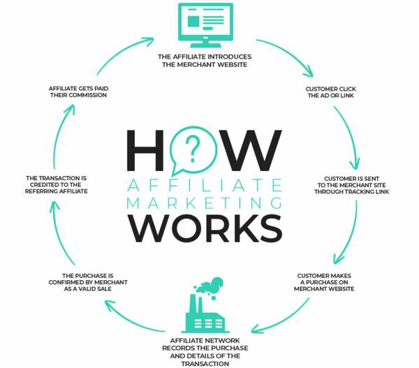 [Allow images for best value]