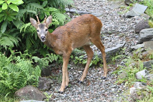 [Remember to allow images]