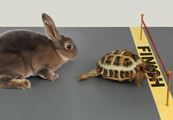 [Images are safe to open]