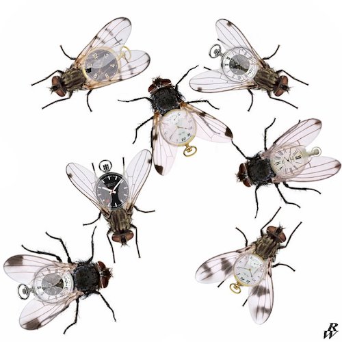 [Allow image for best value]