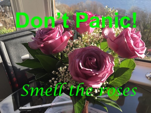 [Images are safe and add value]