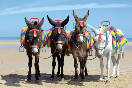 [Please allow image]