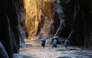 [always allow images]