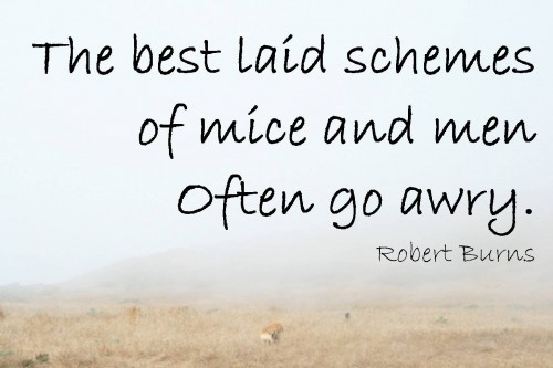 [Remember to allow images]