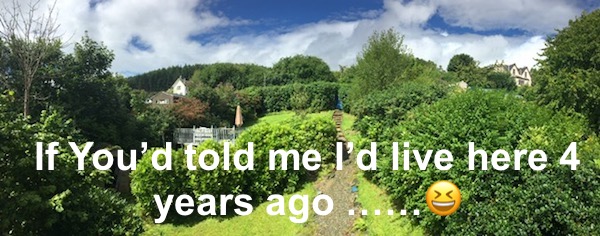 [Allow images please]