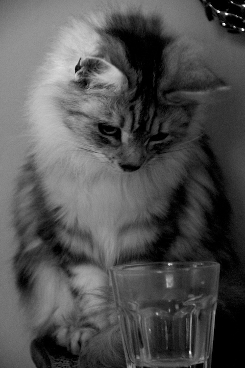 [Please allow image]