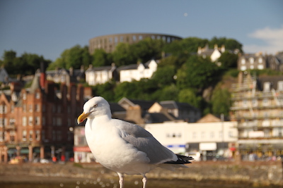 [Please allow image]