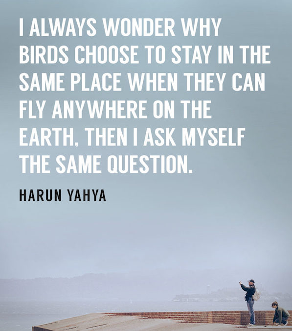 [Always allow images]