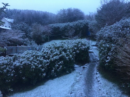 [allow image for full value]