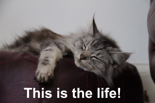 [Allow images please]