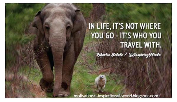 [please allow image]